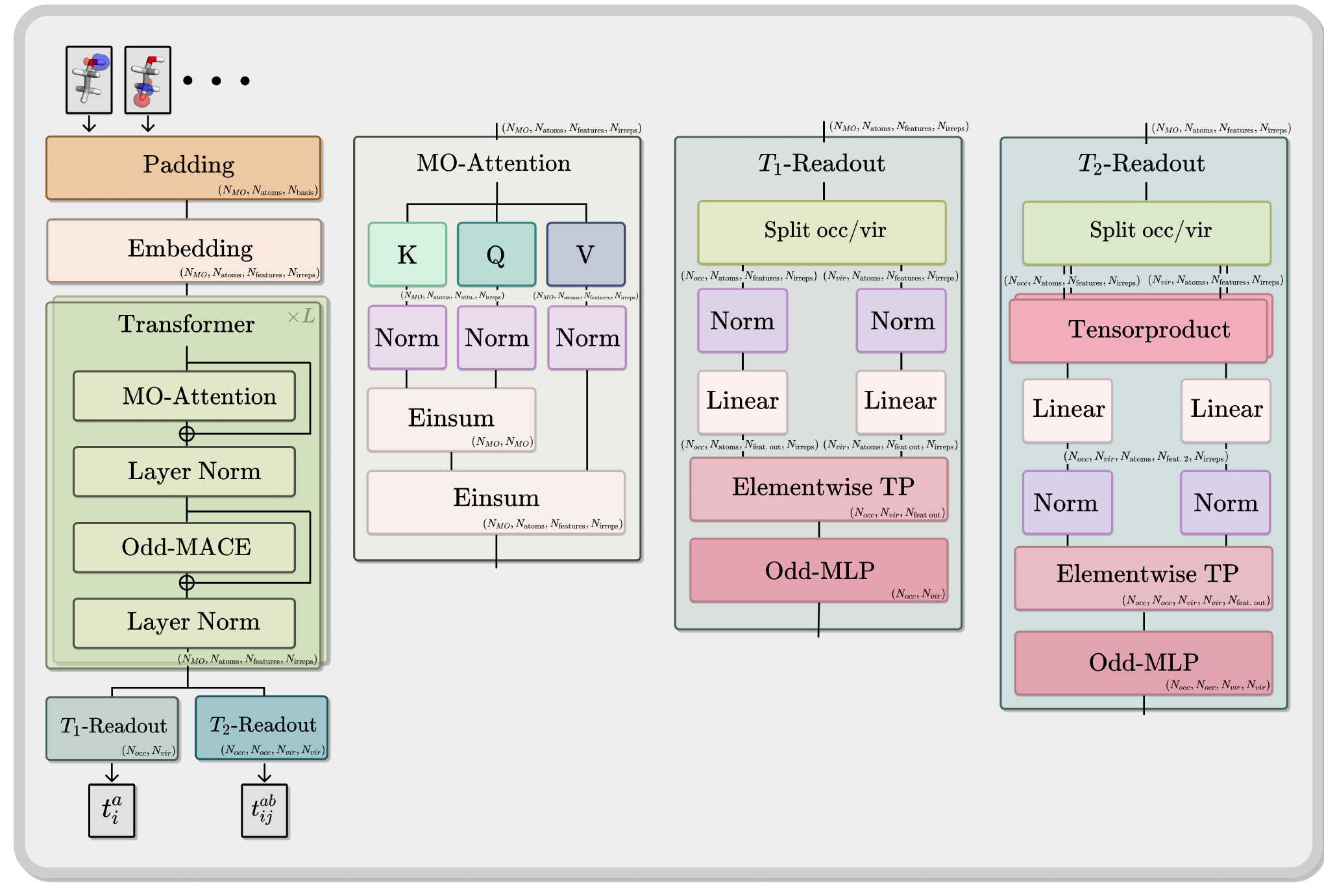 MōLe architecture components
